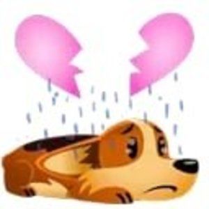 Meet your Posher, Jan